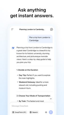 DeepSeek — AI Ассистент — скриншот 2