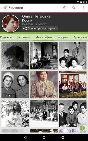 Древо FamilySearch для Android — скриншот 2