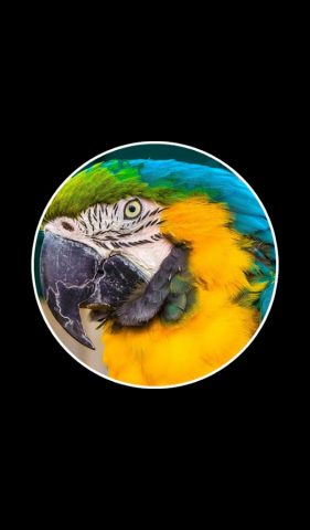 Два Кольца 2 для Android — скриншот 2