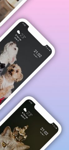 Dynamic Wallpaper для Android — скриншот 2