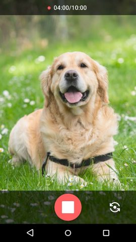 ФСИНЭТ Телефон для Android — скриншот 1