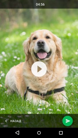 ФСИНЭТ Телефон для Android — скриншот 2