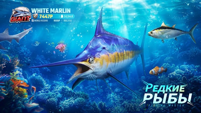 Fishing Master — скриншот 4