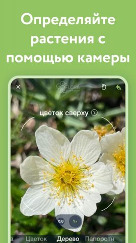 Flora Incognita — скриншот 2