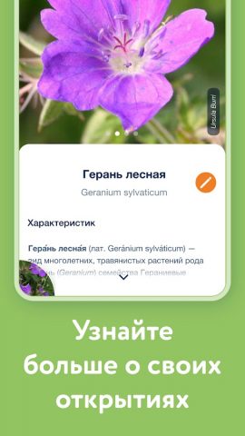 Flora Incognita — скриншот 3