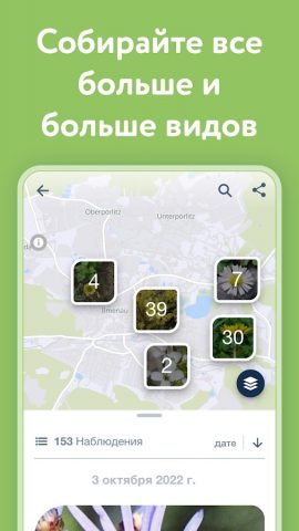 Flora Incognita — скриншот 4