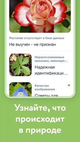 Flora Incognita — скриншот 5