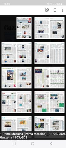 Gazzetta Del Sud для Android — скриншот 4