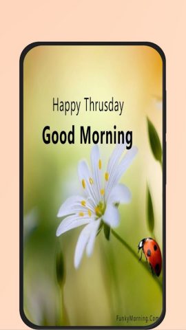 Good Morning Thursday для Android — скриншот 1