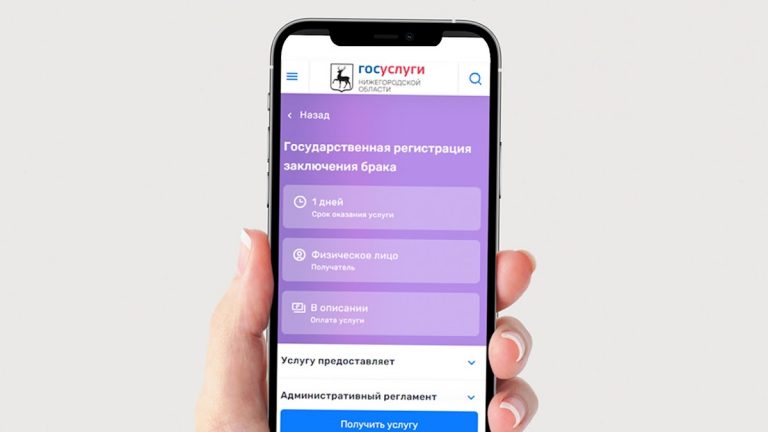 Госуслуги Нижегородская обл. для Android — скриншот 3