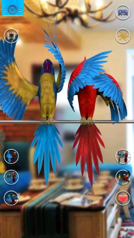 Говорящая пара попугаев для Android — скриншот 4