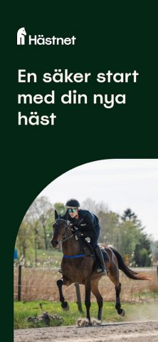 Hästnet для Android — скриншот 1