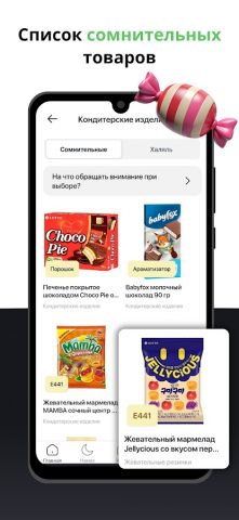 Halal Guide: Коран Намаз Кибла для Android — скриншот 4