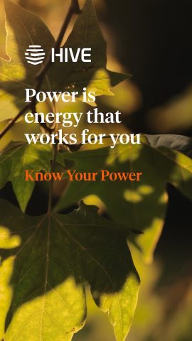 Hive для Android — скриншот 1