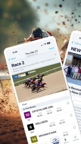 HorseRacesNow для Android — скриншот 2