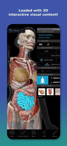 Human Anatomy Atlas 2026 для Android — скриншот 1