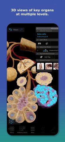 Human Anatomy Atlas 2026 для Android — скриншот 2