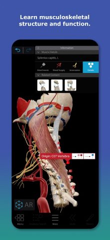 Human Anatomy Atlas 2026 для Android — скриншот 3