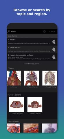 Human Anatomy Atlas 2026 для Android — скриншот 4