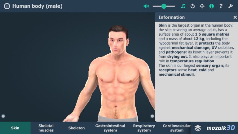 Human body (male) 3D scene для Android — скриншот 1