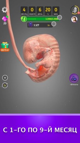 Idle 9 Months для Android — скриншот 3