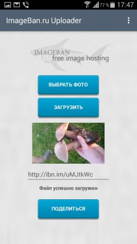 ImageBan Uploader для Android — скриншот 3