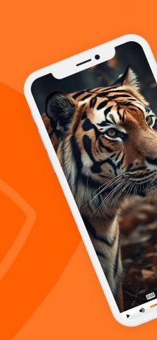 ИнфоПротектор Плеер для Android — скриншот 5