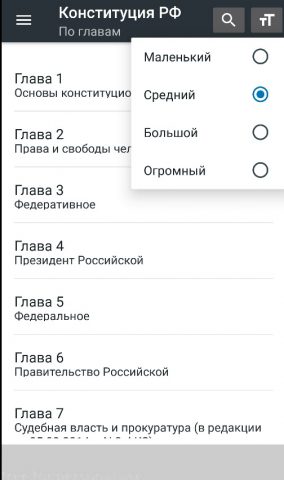 Конституция РФ для Android — скриншот 4