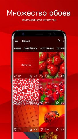 Красные обои от 7Fon для Android — скриншот 1