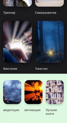 Краткое содержание книги для Android — скриншот 2