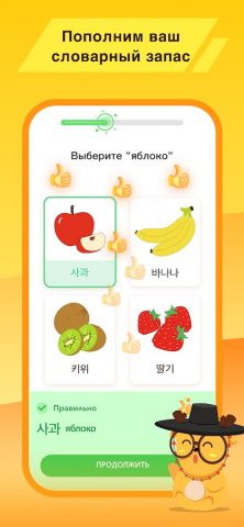 LingoDeer — Learn Languages — скриншот 3