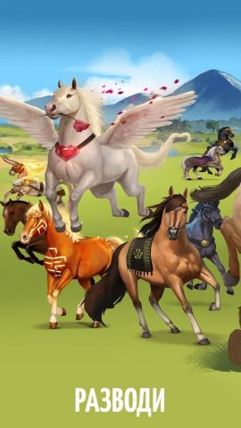 Лоwади — симулятор коневода для Android — скриншот 3