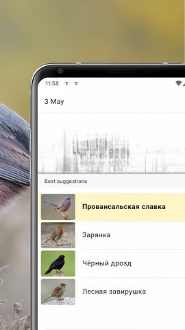 Merlin Bird ID by Cornell Lab для Android — скриншот 2