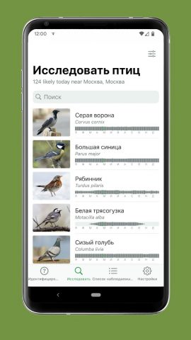 Merlin Bird ID by Cornell Lab для Android — скриншот 3