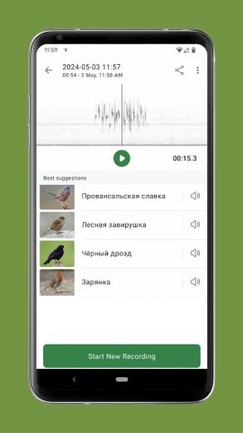 Merlin Bird ID by Cornell Lab для Android — скриншот 5