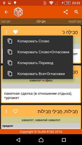 Мобильный словарь ИРИС для Android — скриншот 2