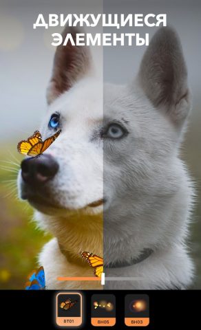 Motionleap от Lightricks — скриншот 3