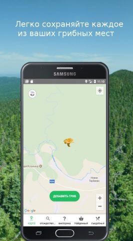 Mushroom Identify (признать гр для Android — скриншот 1
