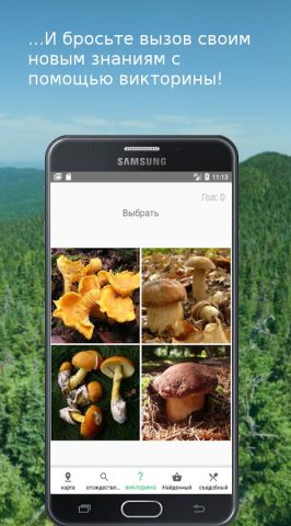 Mushroom Identify (признать гр для Android — скриншот 5