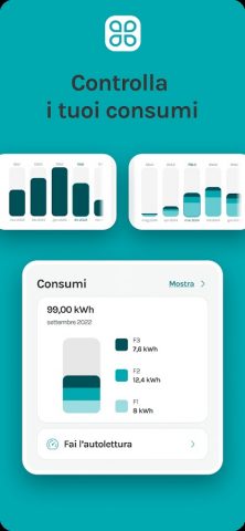 MyAcea Energia для Android — скриншот 4