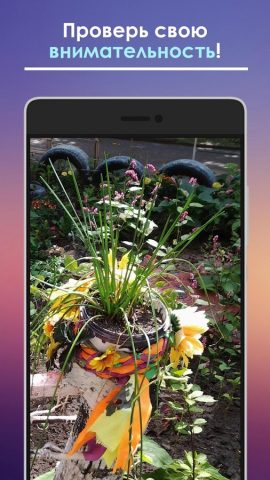 Найди кота для Android — скриншот 1