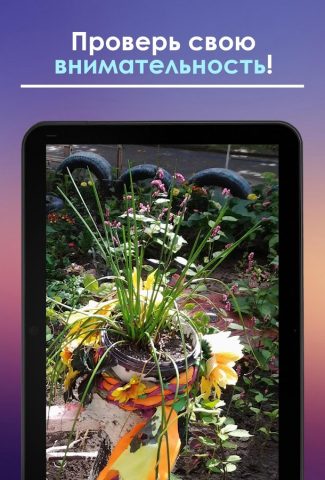 Найди кота для Android — скриншот 5