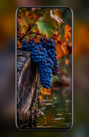 Oppo Reno 13 Pro Wallpaper для Android — скриншот 4