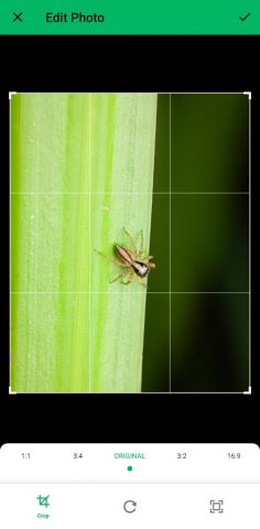 Определитель Насекомых AI для Android — скриншот 5