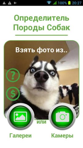 Определитель Породы Собак для Android — скриншот 1