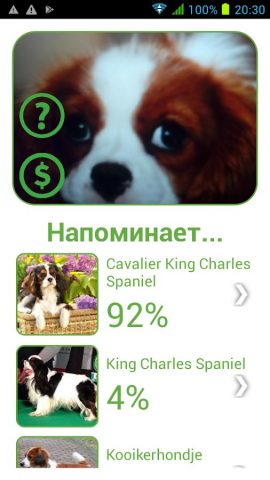 Определитель Породы Собак для Android — скриншот 2