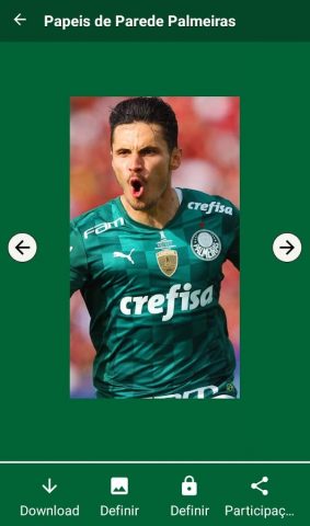 Papel de parede para Palmeiras для Android — скриншот 4