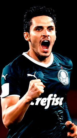 Papel de parede para Palmeiras для Android — скриншот 5