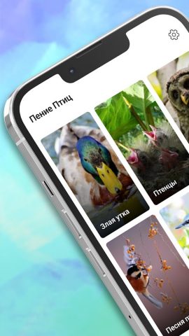 Пение Птиц Рингтоны для Android — скриншот 1