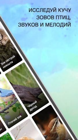 Пение Птиц Рингтоны для Android — скриншот 2